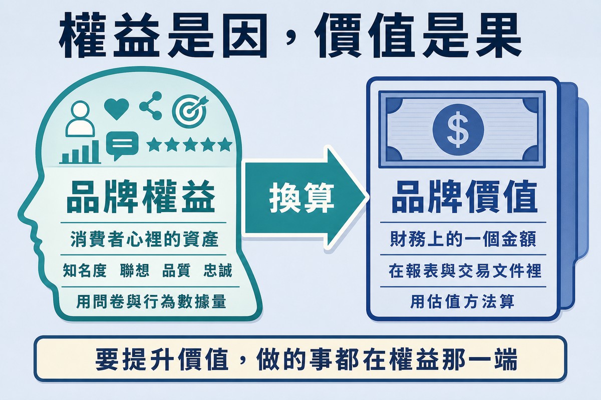 左右兩個容器以箭頭相連,左邊是消費者心裡的品牌權益,右邊是財務上的品牌價值金額